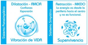 liberación-del-pericardio2