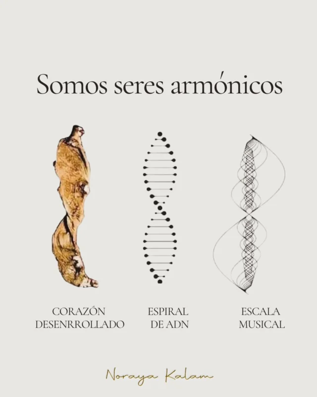 «Todas las principales oraciones del planeta, independientemente de la tradición, se expresan principalmente de forma vocal: se susurran, se recitan, se pronuncian o se cantan. Esto se debe a que el sonido amplifica el poder de la oración y la meditación».
— Jonathan Goldman𓇼 En la Transmisión de Sonido Sagrado tal y como me transmitió Zacciah Blackburn, la intención se convierte en rezo y este en sonido.
Trabajamos desde un lugar de conciencia muy específico, afinados con las frecuencias con las que queremos transmitir. Nos buscamos belleza, buscamos conexión. Y lo hacemos a través de la transmisión, apoyándonos en la intención, como siempre se ha hecho en las culturas Chamánicas.Me llamo Noraya Kalam. La Transmisión de Sonido Sagrado llegó a mi vida a través de Zacciah Blackburn, aportando cuerpo a mi necesidad de transmitir lo que experimento cuando entro en estados profundos de meditación.
Con la Transmisión de Sonido Sagrado le doy voz a mis ancestros y a todos mis linajes espirituales. Llego hasta ellos y me convierto en vasija para que ellos lleguen a mi con una lluvia de bendiciones.
Siempre de manera sagrada,
De manera sagrada,
De manera sagrada.𓇼 Transmisión de Sonido Sagrado
“El vientre de Nut. Entrando en el corazón de los Misterios.” (Ver posts anteriores)Sesión PRESENCIAL en Madrid (Madrid Río) y simultáneo ONLINE en directo vía Zoom (grabación disponible durante 1 semana)📆 Sábado 21 de marzo.
Fecha límite inscripciones 19 de marzo.
Horario: de 18pm a 20:30pm (CET)- 40€
Apertura de puertas a las 17:30hsLink de registro en la web y el LinkTree de la bio.
En amor y servicio,
Norayahttps://www.norayakalam.com/el-vientre-de-nut/Pdt: la penúltima imagen es la cúpula de la sinagoga de Sta Maria la Blanca, en Toledo. Música congelada…#sonidosagrado #chamanismo #Nut #Kemet #DiosaNut
